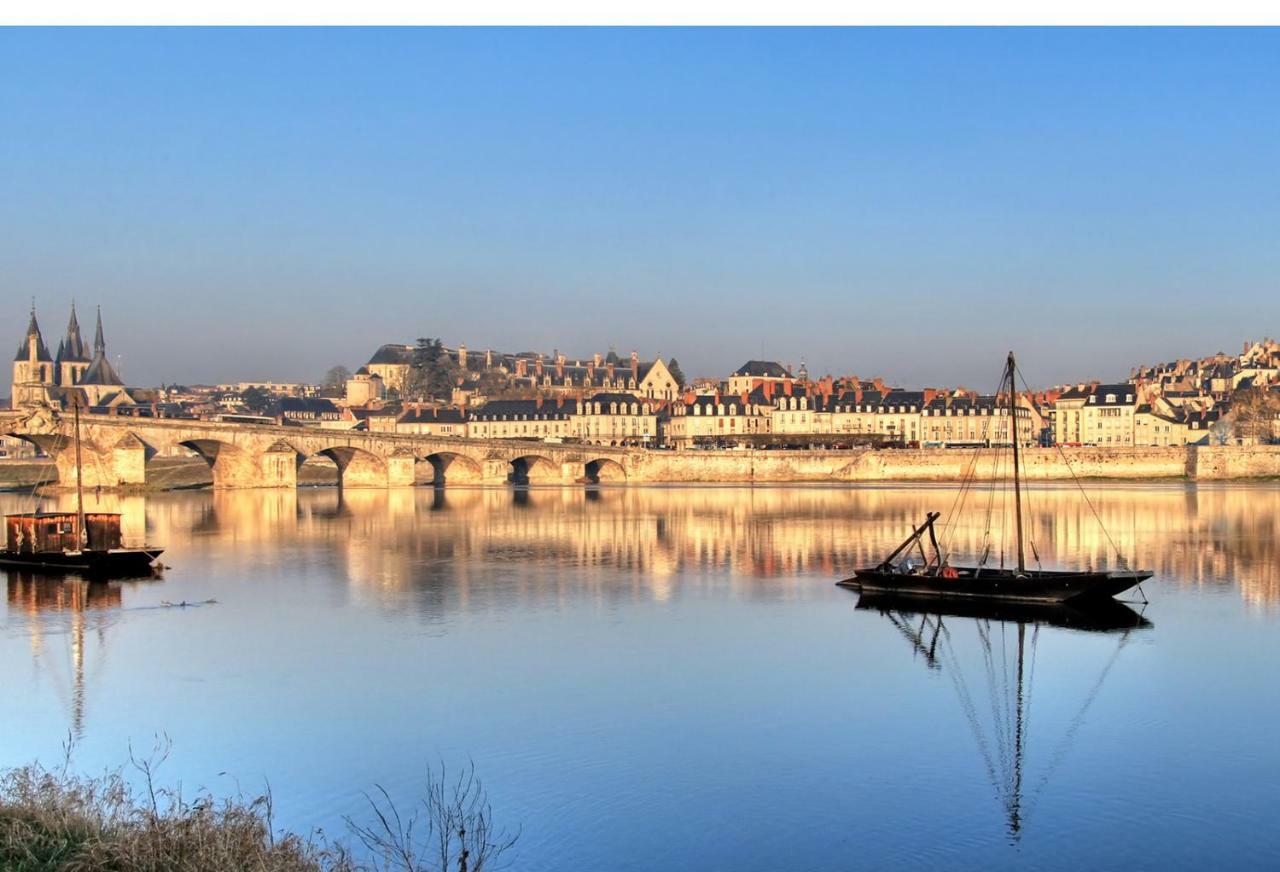 דירות בלואה Les Lumieres De La Loire מראה חיצוני תמונה